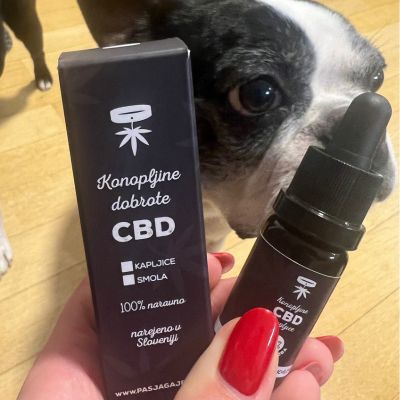 PG CBD kapljice za pse 12%