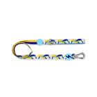 Nebula dog leash