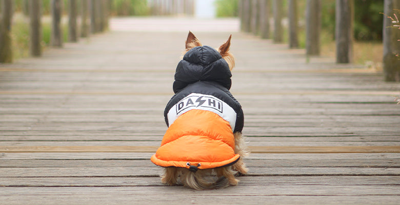 Dashi anorak Stripes Oranžno/Črna