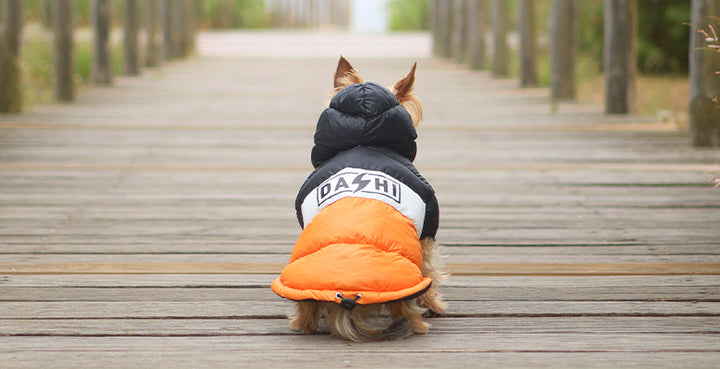 Dashi anorak Stripes Oranžno/Črna