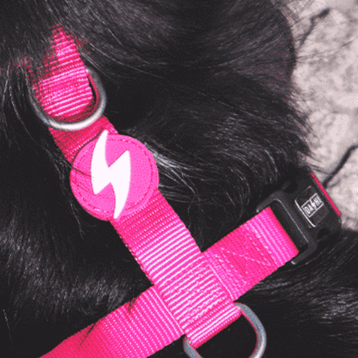 Dashi H-oprsnica Solid Pink