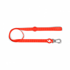 Dashi leash Solid Red