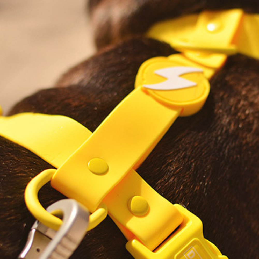 Dashi H-oprsnica ColorFlex Yellow