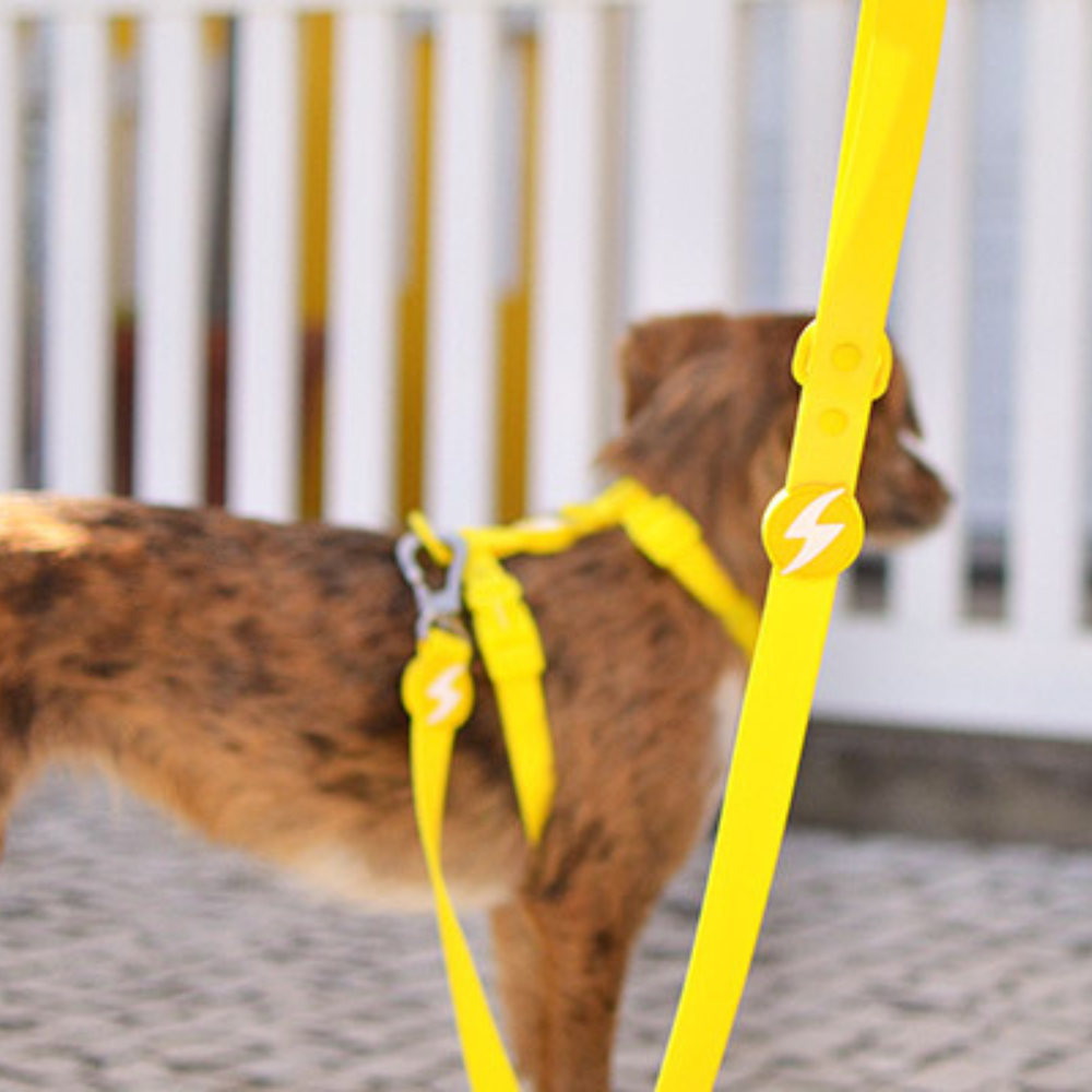 Dashi H-oprsnica ColorFlex Yellow
