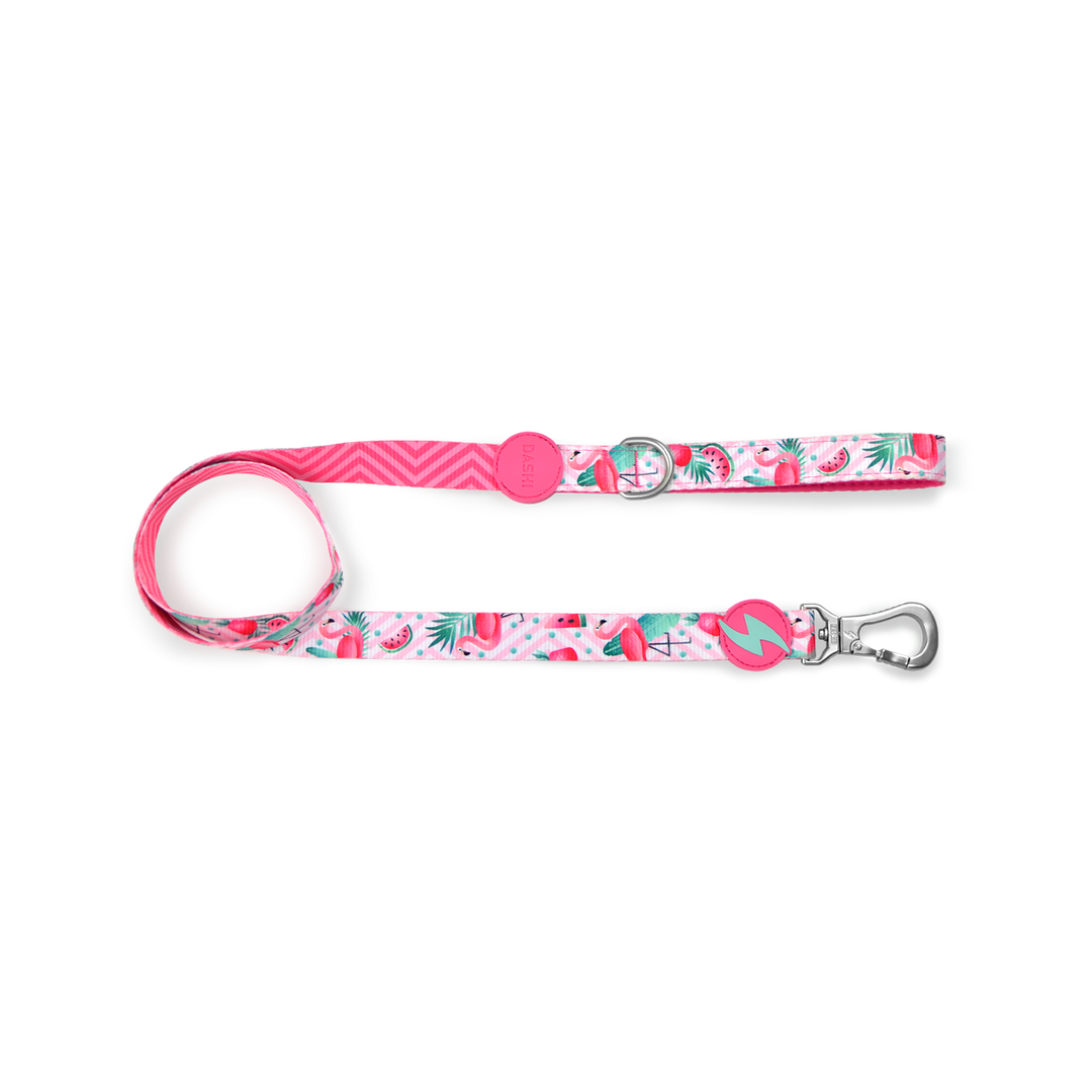Dashi povodec Flamingo za pse