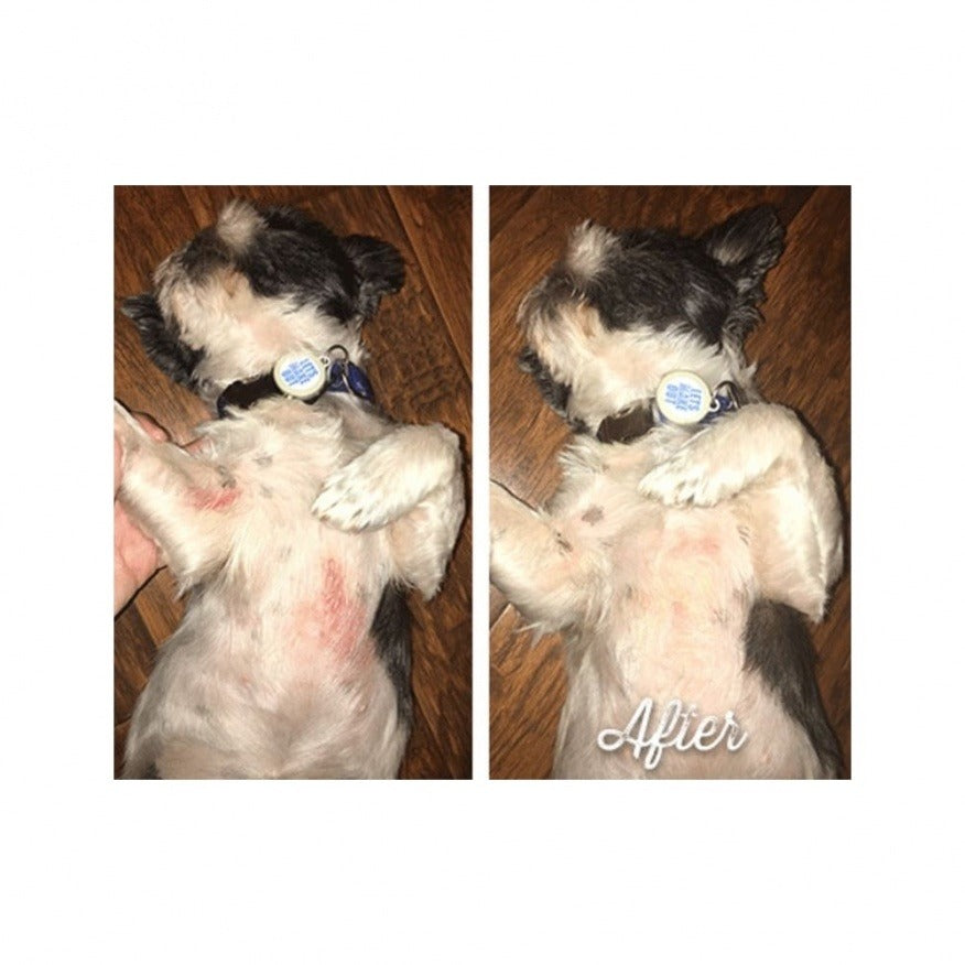 Natural Dog Company Pasji organski zdravilni balzam-Skin Soother