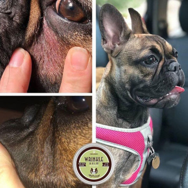 Natural Dog Company balzam za nego gubic - Wrinkle Balm