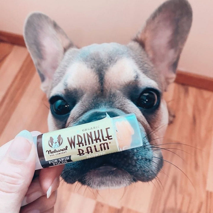 Natural Dog Company balzam za nego gubic - Wrinkle Balm