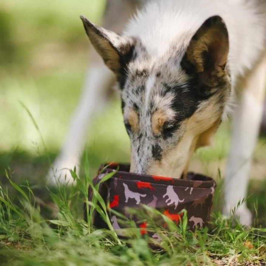 P.L.A.Y Potovalna posoda