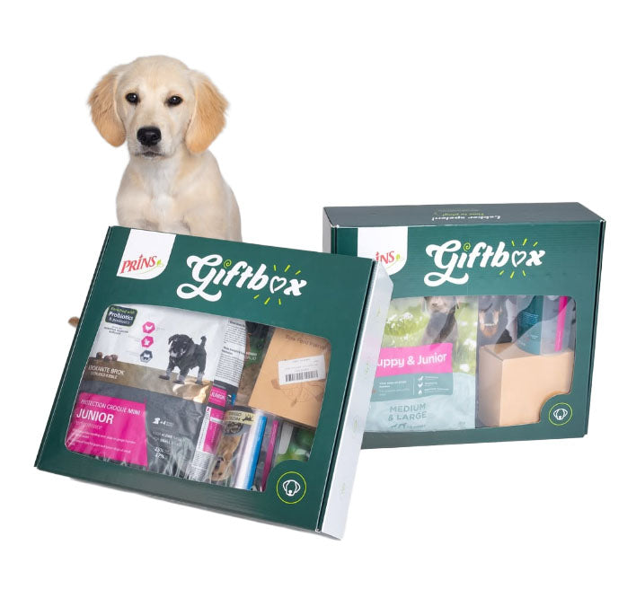 Prins Giftbox Puppy
