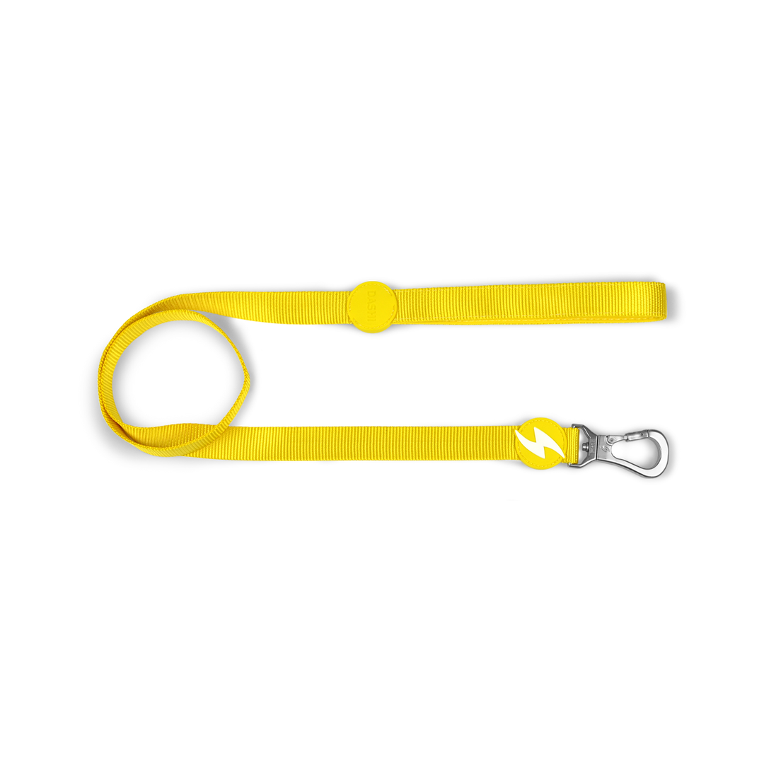 Dashi povodec Solid Yellow