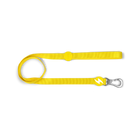Dashi Solid Yellow leash