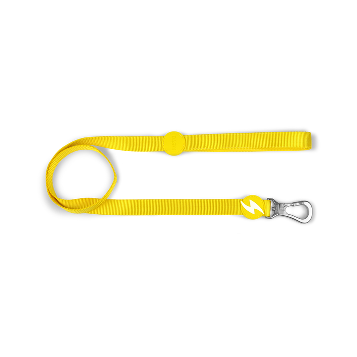 Dashi povodec Solid Yellow