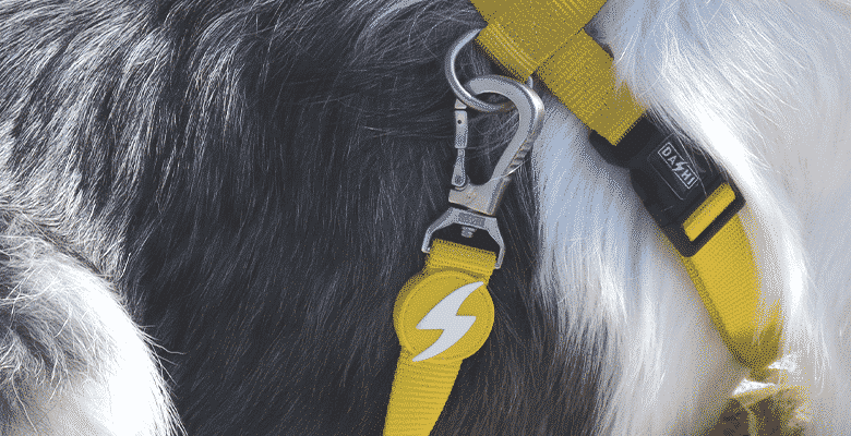Dashi povodec Solid Yellow