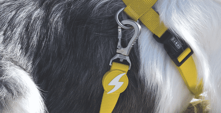 Dashi povodec Solid Yellow