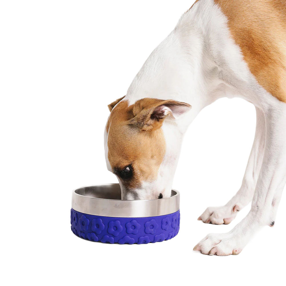 ZEE.DOG posoda za pse Tuff SAMBA