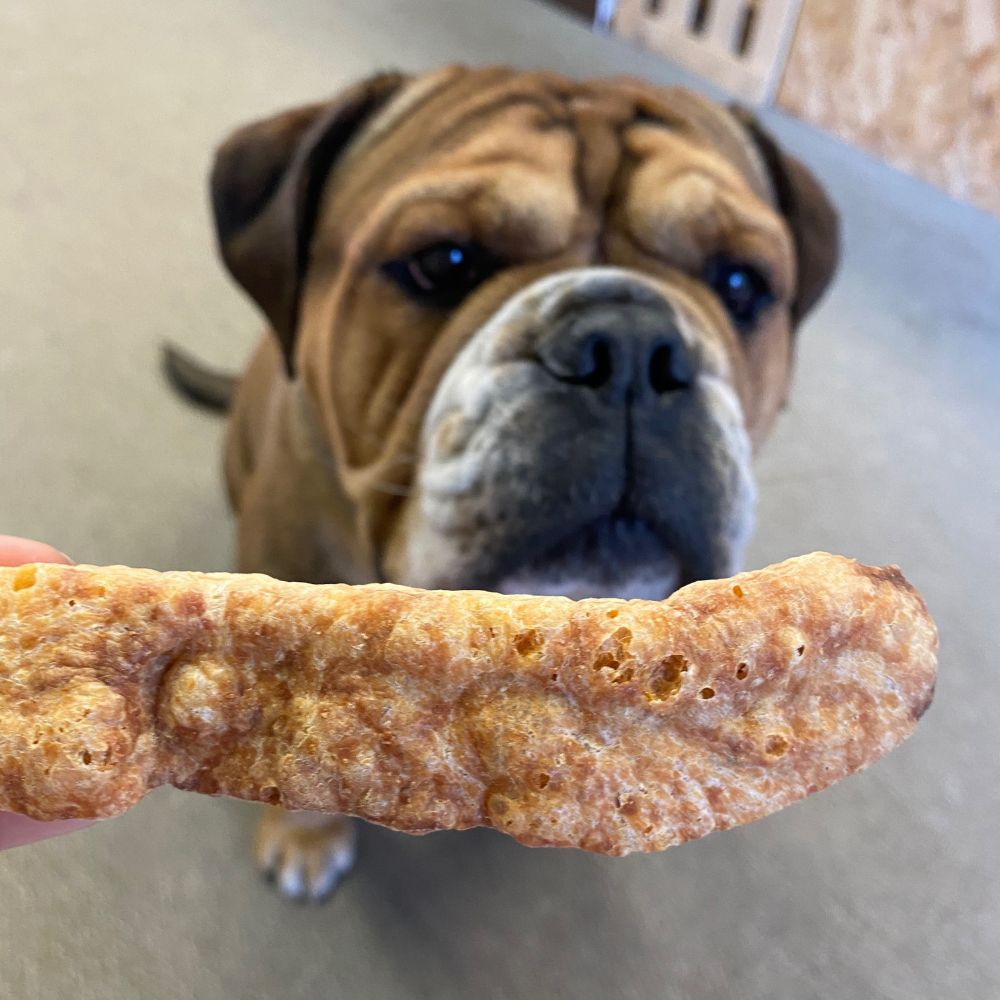 Churpi priboljški za pse Crunchies 70g