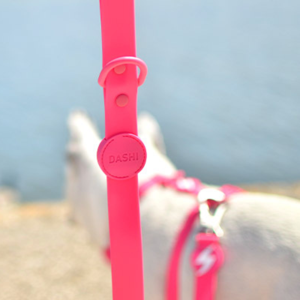 Dashi povodec ColorFlex Pink