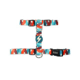 DASHI MOJO Set – Harness + Leash