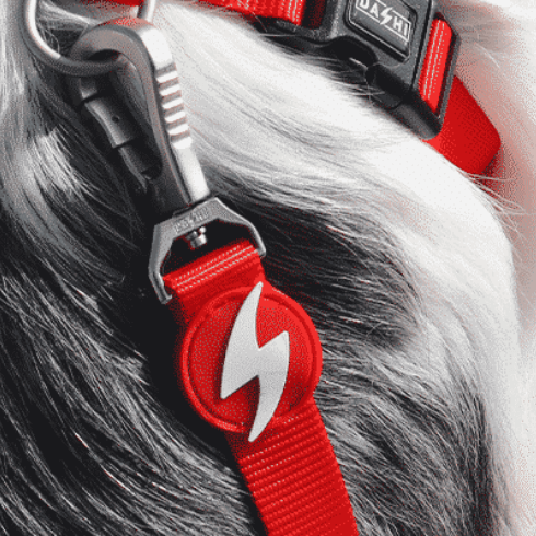 Dashi povodec Solid Red