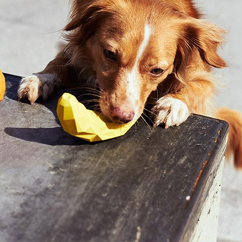 Zee.dog Banana