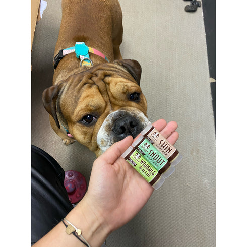 Natural Dog Company Pasji organski zdravilni balzam za smrček - Snout Soother