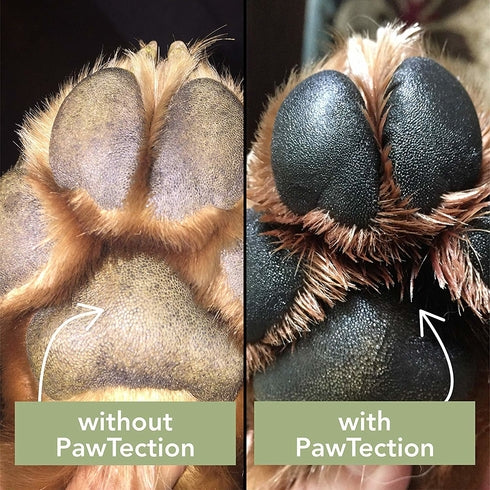 Natural Dog Company Pasji organski zdravilni balzam zaščita za pasje tačke - Pawtection