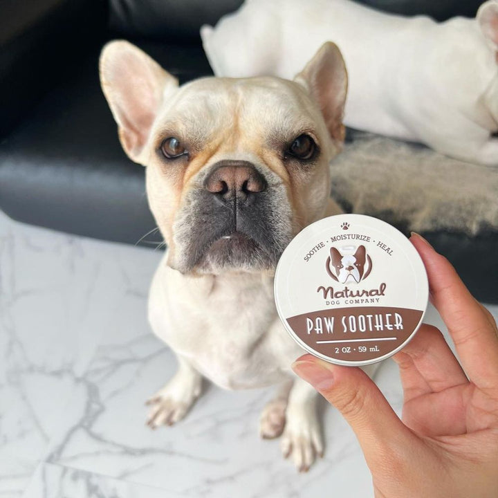Natural Dog Company Paw Soother – balzam za pasje tačke
