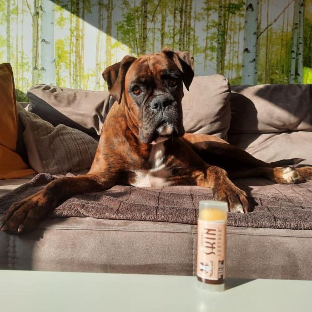 Natural Dog Company Pasji organski zdravilni balzam-Skin Soother