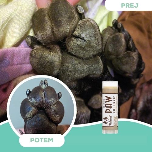Natural Dog Company Paw Soother – balzam za pasje tačke