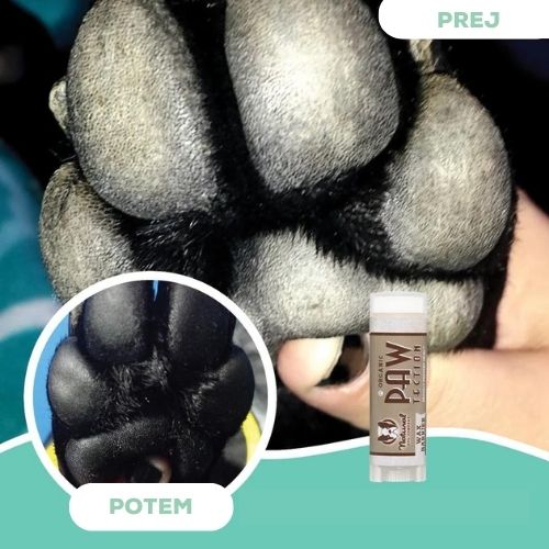 Natural Dog Company Pasji organski zdravilni balzam zaščita za pasje tačke - Pawtection