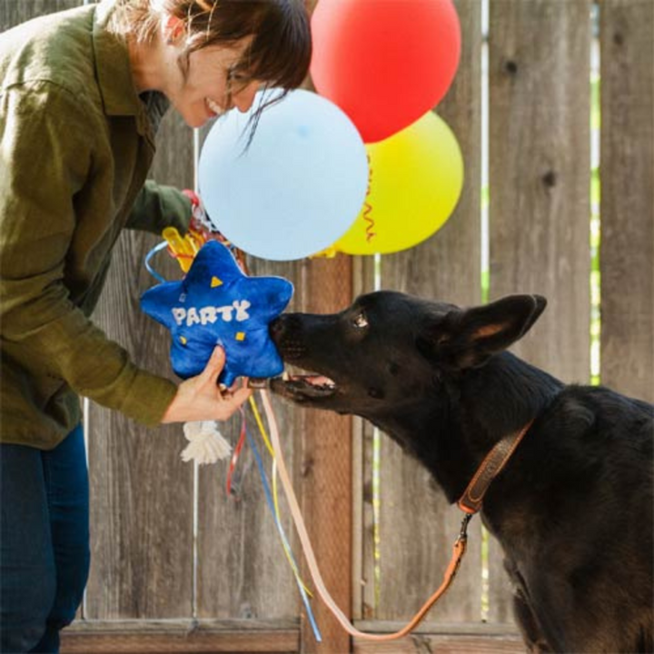 P.L.A.Y. Plišasta igrača za pse Rojstni Dan Balon