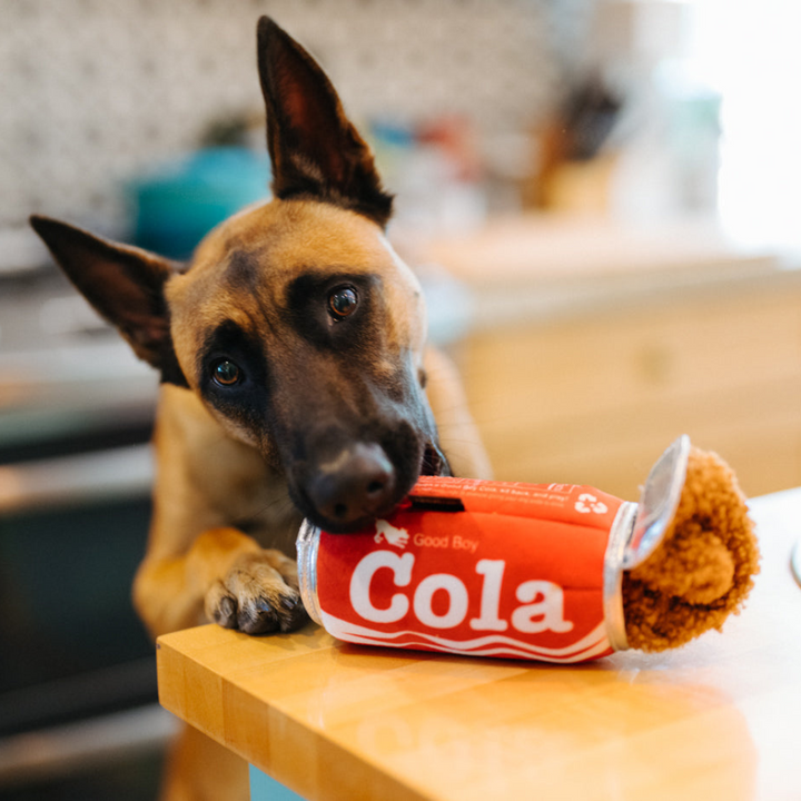 P.L.A.Y. Plišasta igrača za pse Coca Cola