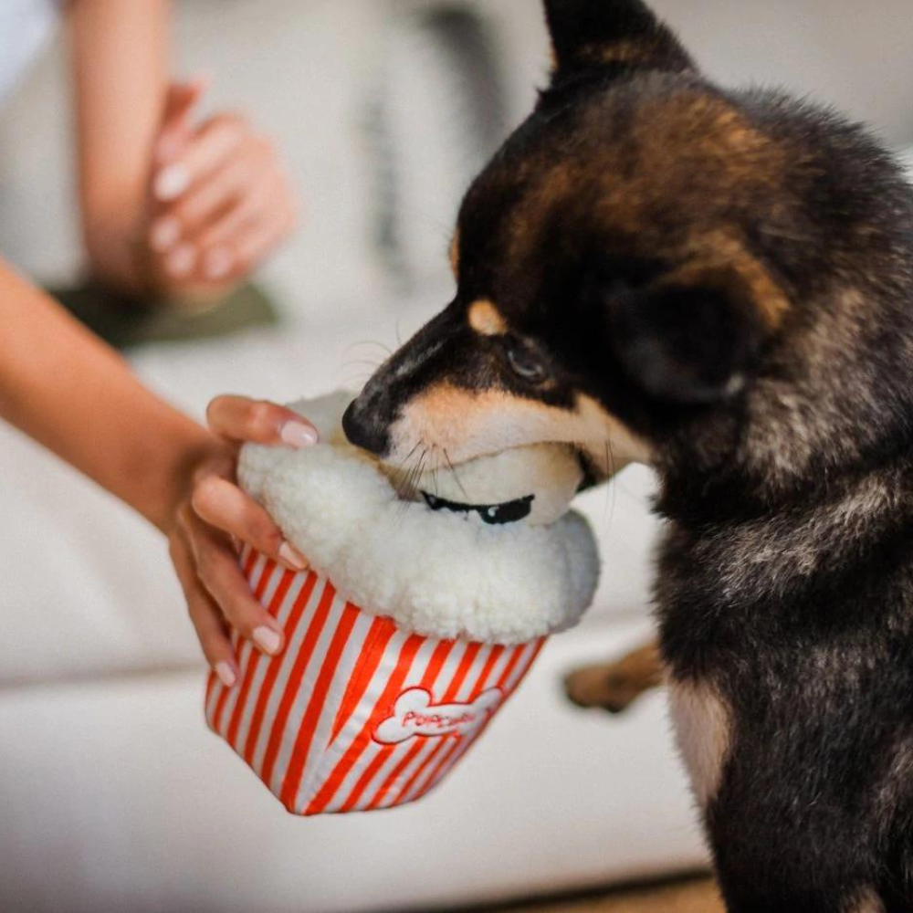 P.L.A.Y. plišasta igrača za pse Pupcorn