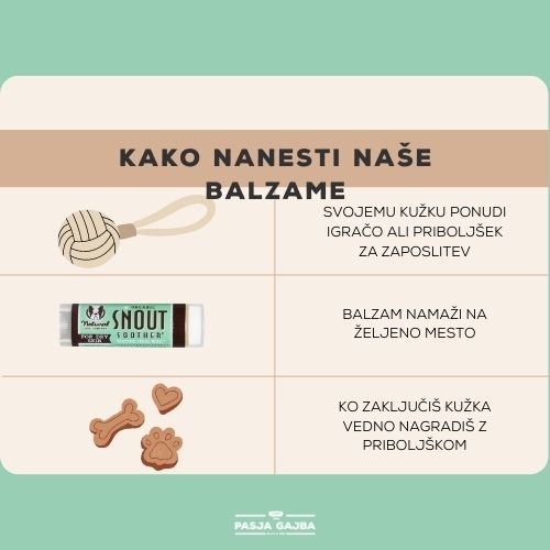 Natural Dog Company Pasji organski zdravilni balzam za smrček - Snout Soother