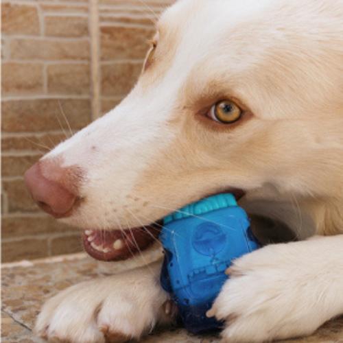 Zee.dog grizalo Brain Freeze