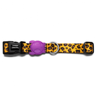 Zee.dog Honey dog collar