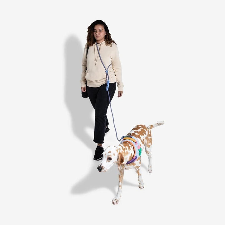 Zee.dog povodec Hands Free Andromeda