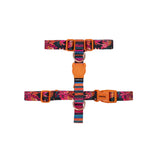 SELVA set – harness + leash