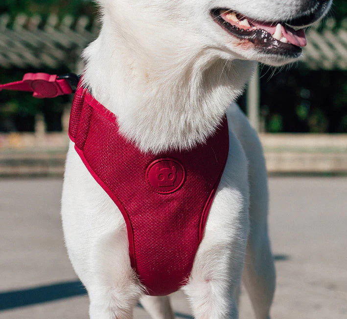 Zee.dog nastavljiva mehka oprsnica Bordeau M
