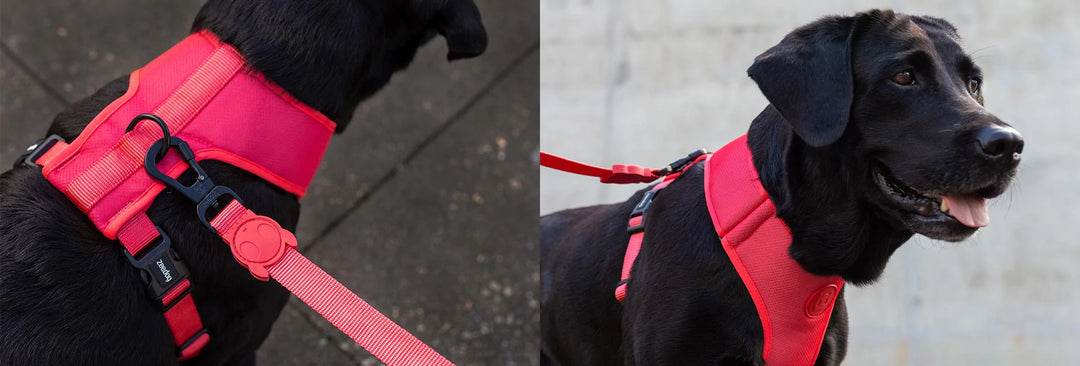 Zee.dog nastavljiva mehka oprsnica Coral