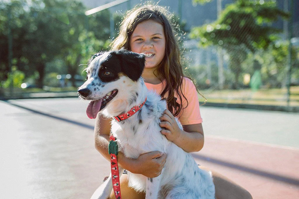 Zee.dog ovratnica Rudolph