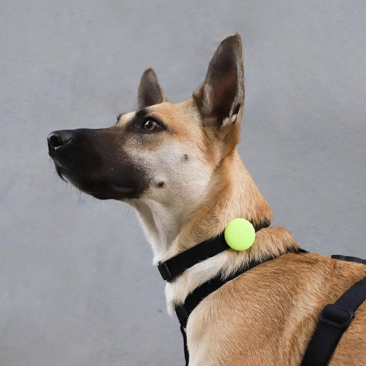 Zee.dog Airtag Holder