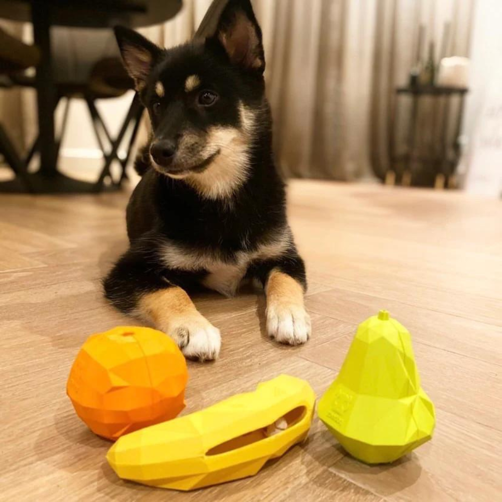 Zee.dog hruška