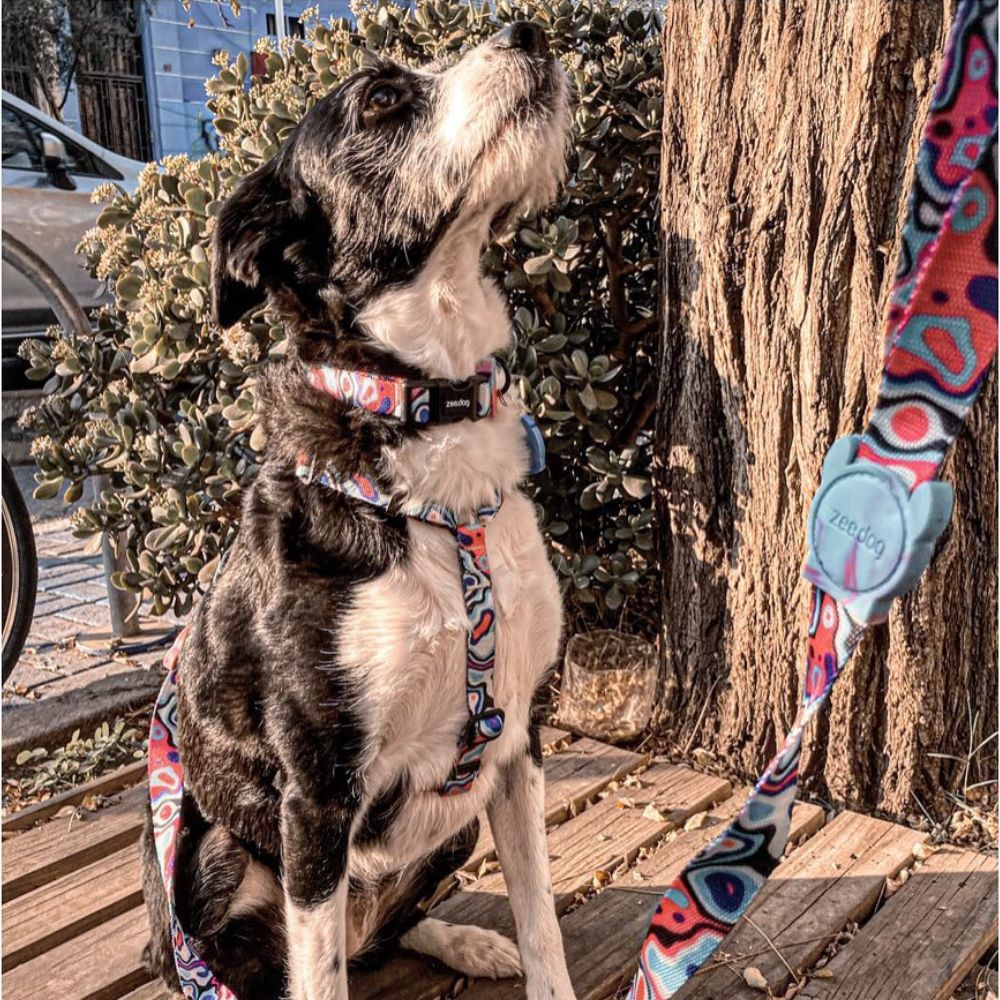 Zee.dog povodec Blast