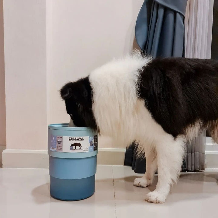 Zee.dog sestavljiva posoda Soft Blue