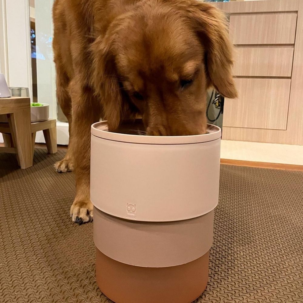 Zee.dog posoda sestavljiva Sand