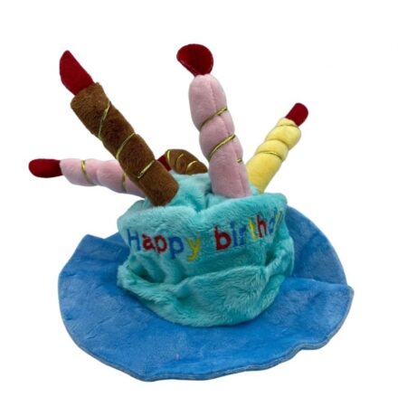 Pasja Gajba pasji klobuk za rojstni dan