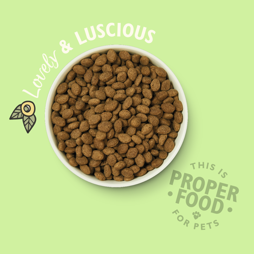 Lily's Kitchen Shepherds Pies, Jagnjetina brez žit Pasja Gajba