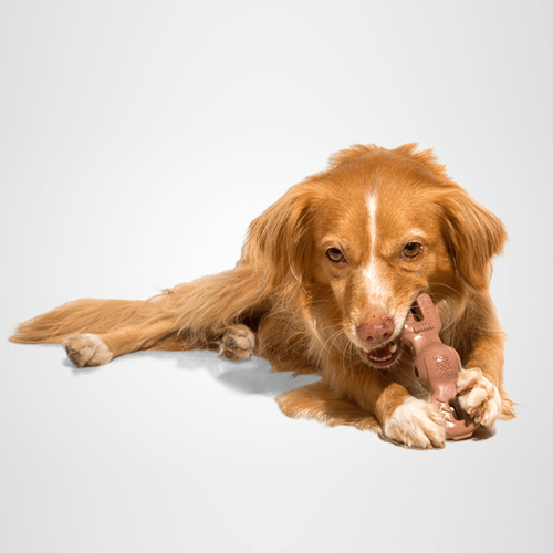 Zee.dog wrench - Image 3